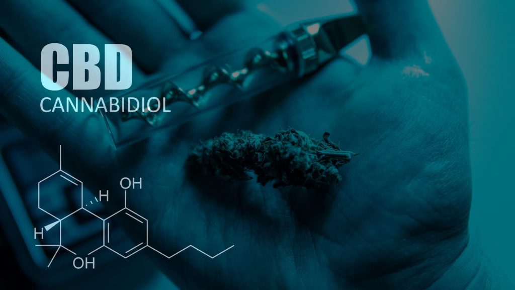 Le cannabidiol (CBD) dans les variétés de cannabis. Le cannabis médical pour les patients