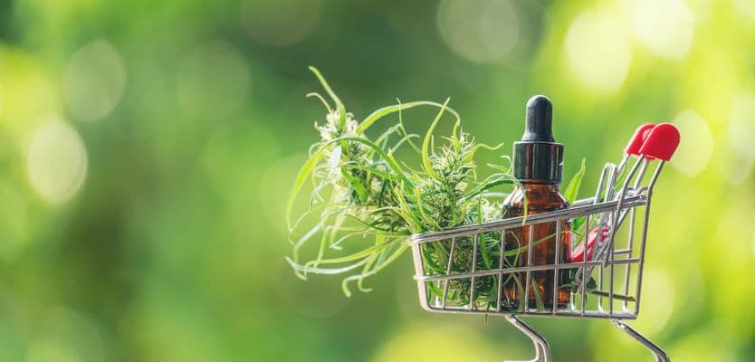 pack cbd de qualité