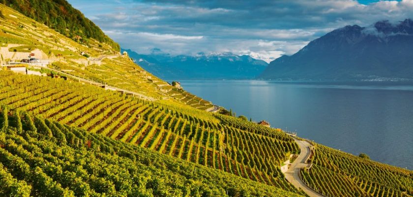 Lavaux, Suisse : paysage du lac Léman et des Alpes suisses vu depuis les terrasses du vignoble de Lavaux dans le canton de Vaud